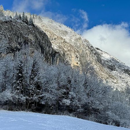 אבונדאנס Appartement Cosy Proche Chatel Portes Du Soleil - Linge Inclus מראה חיצוני תמונה