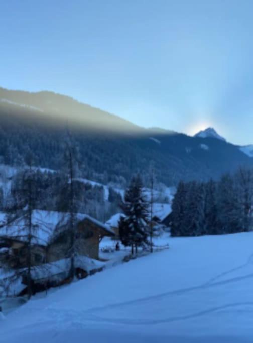 אבונדאנס Appartement Cosy Proche Chatel Portes Du Soleil - Linge Inclus מראה חיצוני תמונה