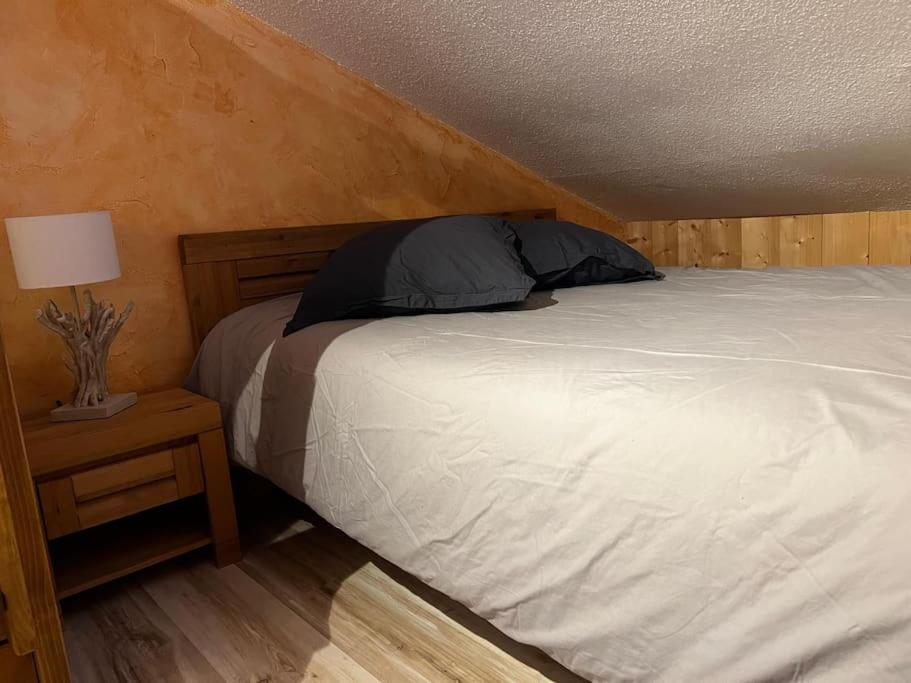 אבונדאנס Appartement Cosy Proche Chatel Portes Du Soleil - Linge Inclus מראה חיצוני תמונה